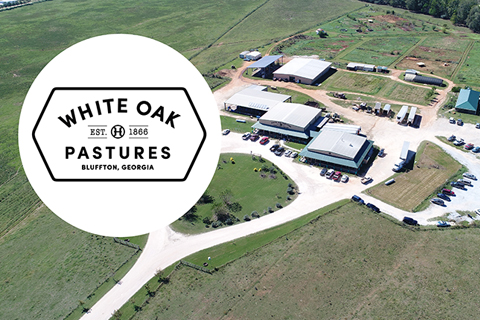 White Oak Pastures Streamlined Operations with Sage 100